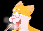 anthro blue_eyes blush bodily_fluids breath drooling drooling_tongue eyewear food fur glasses male open_mouth pink_nose saliva simple_background smile solo teeth tongue tongue_out transparent_background white_body white_fur yellow_body yellow_fur htodinth pocky air_(htodinth) canid canine fox mammal 2015 alpha_channel