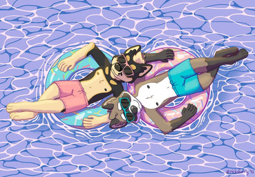 anthro clothed clothing duo eyewear inflatable male male/male nipples pattern_background pool_float relaxing shirtless simple_background sunglasses swimming_trunks swimwear water nicksfurry canid canine mammal procyonid raccoon