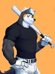 anthro baseball_bat bat_(object) belt clothed clothing male orange_background simple_background solo ixkouu canid canine canis mammal 2021 hi_res