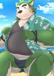 anthro belly big_belly black_nose blush bulge clothing cloud detailed_bulge green_body humanoid_hands kemono male outside overweight overweight_male shirt sitting solo swimwear topwear nazebesu_hobby lifewonders live_a_hero mokdai canid canine canis domestic_dog mammal 2023 absurd_res hi_res