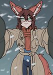 absurd_res blush canid canine christmas clothing coat eyewear female first_person_view glasses hi_res holidays looking_at_viewer mammal meme nangnam snow snowing solo topwear