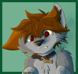 anthro brown_hair fur grey_body grey_fur hair looking_at_viewer male one_ear_up red_eyes solo 2001maxx conditional_dnp maxx_(2001maxx) canid canine canis domestic_dog husky mammal nordic_sled_dog spitz hi_res icon