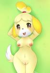 anthro biped breasts brown_eyes female genitals grass lying nipples on_back plant pussy simple_background solo wide_hipped_female wide_hips nirvanilla animal_crossing nintendo isabelle_(animal_crossing) canid canine canis domestic_dog mammal shih_tzu toy_dog