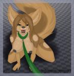 black_lips black_nipples black_nose breasts canine collar collared cyan_eyes female first_person_view kneeling leash looking mammal nipples pet popcornpanic slave smile spread_legs spreading up walkies
Rating: Questionable
Score: 7
User: popcornpanic
Date: April 11, 2014