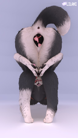 anatomically_correct anatomically_correct_genitalia animal_genitalia animal_vulva anthro anus black_body black_fur bodily_fluids canine_genitalia canine_vulva female fur genital_fluids genital_markings genitals hair hair_over_eyes markings nude pawpads raised_tail simple_background solo tail thick_thighs tongue tongue_markings tongue_out vaginal_fluids vulva whiskers white_body white_fur lilani praise_da_booty_(meme) border_collie canid canine canis collie domestic_dog herding_dog mammal pastoral_dog sheepdog 3d_(artwork) 4k 9:16 absurd_res digital_media_(artwork) hi_res
