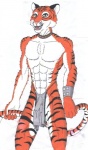 abs alin_raven bottomwear bulge claws clothed clothing detailed_bulge erection erection_under_clothing felid fur genital_outline loincloth male mammal microsoft_paint muscular muscular_male pantherine pecs penis_outline skimpy solo stripes tiger topless underwear