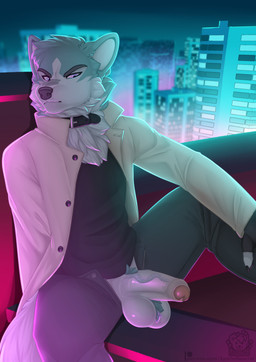 anthro balls black_bottomwear black_clothing black_nose black_pants black_shirt black_topwear blue_body blue_eyes blue_fur bottomwear city city_background clothing coat collar erection fingerless_gloves foreskin fur genitals gloves handwear humanoid_genitalia humanoid_penis male multicolored_body multicolored_fur pants penis pubes shirt sitting solo topwear two_tone_body two_tone_fur vein veiny_penis white_body white_fur sparksreactor brand_new_animal studio_trigger shirou_ogami canid canine canis mammal wolf 2022 absurd_res hi_res