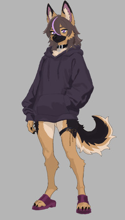 ambiguous_gender anthro black_body black_collar black_ear_tips black_fur black_nose bottomless brown_body brown_fur brown_hair claws clothed clothing collar digitigrade dipstick_ears ear_markings footwear fur grey_background hair hand_in_pocket highlights_(coloring) hoodie inner_ear_fluff legband looking_at_viewer markings multicolored_ears pink_inner_ear pockets purple_clothing purple_eyes purple_footwear purple_highlights purple_hoodie purple_sandals purple_topwear sandals shoes simple_background slippers smile standing tail tan_body tan_fur tan_inner_ear_fluff thighband topwear topwear_only tri_color_fur tuft wearing_collar wannabehobo canid canine canis domestic_dog german_shepherd herding_dog mammal pastoral_dog 2026 digital_drawing_(artwork) digital_media_(artwork) english_description hi_res