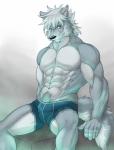 abs amber_eyes biceps briefs bulge canine fur grey_fur hair looking_at_viewer male pecs pose sitting solo stan topless underwear white_hair wolf
Rating: Questionable
Score: 7
User: Grinard
Date: January 01, 2014