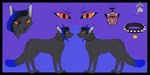 collar female feral fur hair heterochromia long_hair neckwear open_mouth pawpads smile solo teeth tongue scoutface ghost_aldaine domestic_cat felid feline felis mammal 2:1 hi_res model_sheet