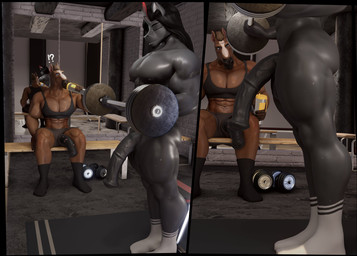 abs animal_genitalia animal_penis anthro biceps black_clothing black_footwear black_hair black_socks bodily_fluids brown_body clothing dumbbell duo equine_genitalia equine_penis exercise footwear genitals gym hair horn male male/male multicolored_body muscular muscular_anthro muscular_male muscular_thighs pecs penis public public_nudity quads shirt socks sweat tank_top topwear weights white_body white_clothing white_footwear white_socks workout workout_equipment morethreedee morethreedee_(modeler) friendship_is_magic hasbro my_little_pony mythology king_sombra_(mlp) equid equine horse mammal mythological_creature mythological_equine unicorn 3d_(artwork) digital_media_(artwork) hi_res