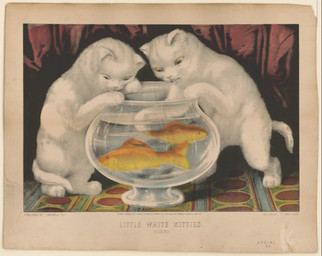 ambiguous_feral ambiguous_gender aquarium detailed_background digitigrade feral fin fish_bowl fur group looking_down on_hind_legs paws predator/prey quadruped standing tail tail_fin text vivarium water whiskers white_body white_fur young young_ambiguous young_feral unknown_artist currier_and_ives public_domain aquatic domestic_cat felid feline felis fish mammal 1871 19th_century absurd_res ancient_art english_text hi_res huge_filesize lithograph_(artwork) traditional_media_(artwork)