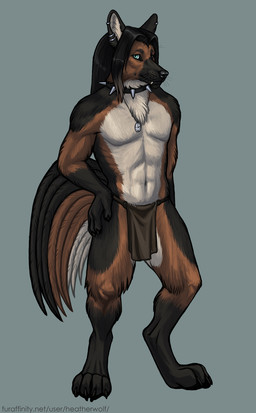anthro black_body black_claws black_collar black_fur black_hair black_nose black_pawpads black_tail blue_background blue_eyes bottomwear brown_body brown_bottomwear brown_clothing brown_fur brown_loincloth brown_tail claws clothed clothing collar ear_piercing ear_ring front_view fur glistening glistening_eyes hair hand_on_hip jewelry loincloth looking_at_viewer male male_anthro mouth_closed navel necklace pawpads piercing ring_piercing simple_background solo spiked_collar spikes standing tail text topless whiskers white_body white_fur white_tail heatherwolf canid canine canis domestic_dog german_shepherd herding_dog mammal pastoral_dog full-length_portrait hi_res portrait url