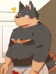 anthro belly black_body black_fur blush brown_body brown_fur bulge clothing fur kemono male slightly_chubby solo underwear green_bell inakamichi canid canine canis domestic_dog mammal 2020 hi_res