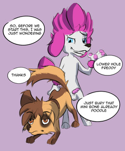 awkward duo erection female feral genitals male male/female penis small_penis text virgin tsifox 100_percent_wolf batty_(100_percent_wolf) freddy_lupin_(100_percent_wolf) canid canine canis chihuahua domestic_dog mammal poodle toy_dog absurd_res english_text hi_res