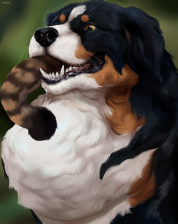 ambiguous_feral ambiguous_gender black_body black_fur black_nose blurred_background bodily_fluids brown_body brown_fur brown_tail drooling duo fangs feral floppy_ears fur in_mouth neck_bulge oral_vore orange_body orange_eyes orange_fur saliva solo_focus tail teeth vore whiskers white_body white_fur roobin ambiguous_species canid canine canis domestic_dog mammal hi_res