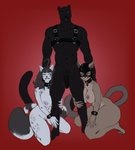 5_fingers abs anthro areola athletic athletic_anthro athletic_male bdsm big_breasts big_butt black_body black_fur black_hair black_nose blue_eyes bracelet breasts brown_body brown_fur brown_nose butt collar collar_only ear_piercing ear_ring feet female fingers fur genitals grey_body grey_fur group hair harness harness_only holding_leg humanoid_hands jewelry kneeling leather leather_harness lips looking_at_another looking_at_viewer looking_up male male/female markings mask melanistic navel nipples nude pecs penis piercing pink_lips purple_eyes pussy red_background ring_(marking) ring_piercing ringed_tail simple_background smile spots spotted_body spotted_fur standing striped_markings striped_tail stripes tail tail_markings toes didihell hollandworks darius_shah eirwen_vaan murphy_(hollandworks) felid feline leopard mammal pantherine snow_leopard 2021 hi_res story story_in_description