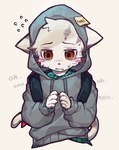 anthro blush blush_lines clothed clothing hoodie kemono male solo tail text topwear whiskers young young_anthro popokachip poka_(popokachip) domestic_cat felid feline felis mammal english_text