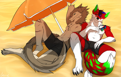 anthro beach beach_umbrella bottomwear bulge clothing duo eyewear fur male muscular outside parasol piercing sand scar seaside shorts simple_background smile smirk sun sunglasses swimwear tail tattoo umbrella angiewolf docisco canid canine fox mammal sergal absurd_res digital_media_(artwork) hi_res shaded