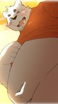 anthro belly big_belly blush clothed clothing clothing_lift humanoid_hands kemono male one_eye_closed overweight overweight_male shirt shirt_lift solo topwear wink menmen_kesinn bear mammal polar_bear ursine 2024 9:16 hi_res