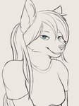 anthro blue_eyes female solo snowstormbat canid canine canis mammal wolf 3:4 absurd_res hi_res sketch