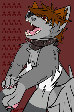 aaaaa being_held black_nose brown_hair collar collar_only feral fur grey_body grey_fur hair male nude offscreen_character open_mouth red_eyes screaming solo 2001maxx conditional_dnp dawnsnout_smootheye maxx_(2001maxx) canid canine canis domestic_dog husky mammal nordic_sled_dog spitz absurd_res hi_res