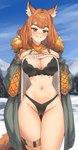 bangs blush bra braided_hair breasts clothed clothing clothing_lift female hair panties ring smile solo underwear radioneet arknights hypergryph studio_montagne ratatos_browntail_(arknights) animal_humanoid canid canid_humanoid canine canine_humanoid fox_humanoid humanoid mammal mammal_humanoid 2023 absurd_res hi_res