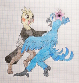 anthro beak black_beak black_claws black_feet blue_body blue_feathers blush brown_beak brown_legs claws dancing duo eye_contact feathers feet female flower flower_on_head happy looking_at_another male male/female orange_body orange_feathers pink_flower plant selfship tail tail_feathers white_body white_feathers wings yellow_body yellow_feathers sunstroke_(artist) blue_sky_studios rio_(series) dima_(electrotiel) jewel_(rio) avian bird cockatiel cockatoo macaw neotropical_parrot parrot spix's_macaw true_parrot graphite_(artwork) traditional_media_(artwork)