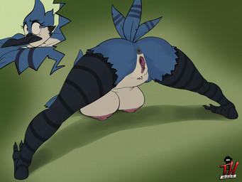 anthro anus areola ass_up big_breasts breasts butt clitoris crossgender female gaping gaping_vagina genitals green_background jack-o'_pose mtf_crossgender nipples pose presenting presenting_hindquarters rear_view simple_background solo vulva thingshappen cartoon_network regular_show mordecai_(regular_show) avian bird blue_jay corvid jay_(bird) new_world_jay oscine passerine 2024 4:3 hi_res