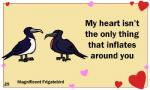 ambiguous_gender beak duo feral heart_symbol holidays simple_background text birdcheese valentine's_day avian bird frigatebird 5:3 animated digital_media_(artwork) english_text low_res short_playtime