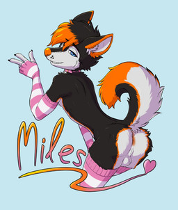 anthro anus arm_warmers armwear backsack balls black_body black_fur blue_eyes butt clothing collar collar_only curl_tail femboy footwear fur genitals gesture hand_gesture legwear makeup male nude orange_body orange_fur socks solo text thigh_highs thigh_socks v_sign white_body white_fur punkpega miles_(mileshusky04) canid canine canis domestic_dog husky mammal nordic_sled_dog spitz 2025