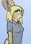 anthro blonde_hair blue_background blue_eyes clothing countershade_fur countershading eyelashes female fur grey_clothing grey_shirt grey_topwear hair long_ears long_hair pink_nose polo_shirt scut_tail shirt short_tail simple_background solo tail topwear yellow_body yellow_fur conditional_dnp tangerine_(artist) andreas_kaninsen lagomorph leporid mammal rabbit 2025 digital_media_(artwork) half-length_portrait hi_res portrait trans_(lore) trans_man_(lore)