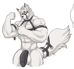 abs anthro balls biceps big_penis fur genitals hair harness humanoid_genitalia humanoid_penis male muscular muscular_anthro muscular_male nipples nude penis red_eyes simple_background solo tail white_body white_fur vexedlupine mihoyo zenless_zone_zero von_lycaon canid canine canis mammal wolf hi_res