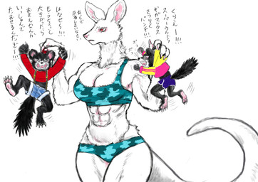 abs albino angry anthro big_breasts bottomwear bra breasts claws cleavage clothed clothing female fur group larger_female muscular muscular_female red_eyes shorts simple_background size_difference text topwear trio underwear white_background white_body white_fur young kyokyota dasyurid dasyuromorph kangaroo macropod mammal marsupial tasmanian_devil 2019 absurd_res hi_res japanese_text translated