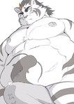 anthro blush bodily_fluids bulge clothing genital_fluids kemono male moobs musclegut muscular nipples overweight overweight_male precum simple_background solo underwear white_background hysk tamacolle hitachi_(tamacolle) felid mammal pantherine tiger 2024 hi_res