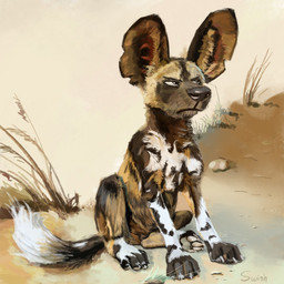 ambiguous_gender feral grumpy solo young young_feral swish grump african_wild_dog canid canine mammal 1:1 hi_res