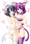 accessory bikini blue_eyes breasts butt clothed clothing duo fake_cat_ears fake_cat_tail fake_ears fake_tail female footprint grey_hair hair hair_accessory hairband hands_together human_only inner_ear_fluff interlocked_fingers looking_aside looking_at_viewer not_furry open_mouth open_smile pawprint purple_hair short_hair skimpy smile standing swimwear tail tan_body tan_skin teal_eyes tuft two-piece_swimsuit kamiya_tomoe the_familiar_of_zero henrietta_de_tristain siesta_(zero_no_tsukaima) human mammal grandfathered_content