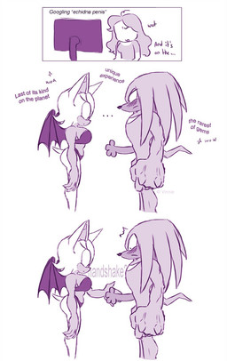 animal_genitalia animal_penis anthro back_wings blush clothing duo echidna_penis female genitals hand_on_penis male membrane_(anatomy) membranous_wings nude penis sparkles spiked_hands text underwear wings thornonarose sega sonic_the_hedgehog_(series) knuckles_the_echidna rouge_the_bat bat echidna human mammal monotreme comic english_text monochrome
