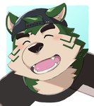 anthro backwards_baseball_cap backwards_hat baseball_cap clothing eyebrows eyes_closed fur green_body green_fur hat headgear headwear male smile solo thick_eyebrows namarinotama lifewonders live_a_hero mokdai canid canine canis domestic_dog mammal hi_res