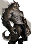 abs anthro blizzard_entertainment bottomwear canid canine canis clothed clothing dopq fangs fur hi_res loincloth male mammal muscular muscular_anthro muscular_male partially_clothed pecs solo teeth warcraft were werecanid wolf worgen