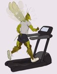 anthro biped bottomwear butt clothed clothing eyebrows footwear fully_clothed green_body male muscular muscular_anthro muscular_male muscular_thighs quads shirt shoes shorts sneakers solo text thick_thighs topwear treadmill wings kogito gym_bro_cricket arthropod cricket insect orthopterid 2023 absurd_res digital_media_(artwork) english_text hi_res