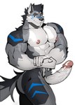 abs anthro big_penis black_body black_fur black_hair blue_eyes blue_stripes countershade_torso countershading deltoids facial_stripes flexing flexing_bicep fur genitals gloves_(marking) grey_body grey_fur hair male markings multicolored_body multicolored_fur nude pecs penis pubes simple_background solo standing striped_body striped_fur stripes tail vein veiny_muscles veiny_penis white_background white_body white_countershading white_fur re_baiz tyrael_(tyraelsdc) canid canine canis mammal wolf 2024 absurd_res hi_res