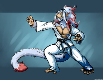 anthro fight male martial_arts muscular muscular_male solo danji-isthmus haplorhine mammal monkey primate digital_drawing_(artwork) digital_media_(artwork)