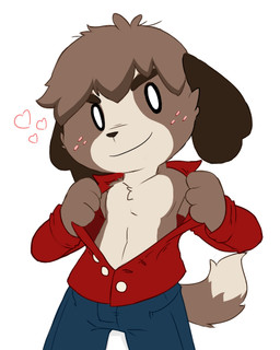 anthro chest_tuft clothed clothing freckles heart_symbol looking_at_viewer male open_clothing open_shirt open_topwear shirt simple_background smile solo standing topwear tuft undressing white_background oob animal_crossing nintendo digby_(animal_crossing) canid canine canis domestic_dog mammal shih_tzu toy_dog 2015 4:5