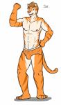 anthro briefs bulge clothed clothing male muscular muscular_anthro muscular_male solo topless underwear fuze texnatsu joe_(texnatsu) felid mammal pantherine tiger absurd_res character_name hi_res