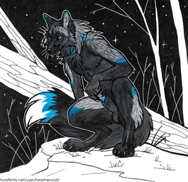 animal_genitalia anthro arm_tuft balls black_balls black_body black_fur black_nose black_sheath blue_eyes blue_markings cheek_tuft chest_tuft crouching facial_tuft fangs fur genitals grey_body grey_fur humanoid_genitalia humanoid_penis log looking_at_viewer male male_anthro markings mouth_closed night nude outside penis penis_tip sheath shoulder_tuft solo star teeth text tuft whiskers wood heatherwolf rayting canid canine mammal url