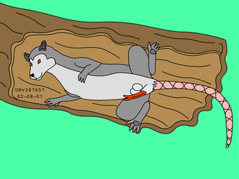 animal_genitalia animal_penis balls balls_above_penis erection feral fur genitals grass grey_body grey_fur log male marsupial_penis nude_male penis plant presenting presenting_penis sheath smile solo tail toony wood urbanhermit american_opossum mammal marsupial virginia_opossum 2002 colored dated