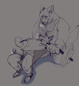 anthro athletic athletic_anthro athletic_male balls barbell bench_press bodily_fluids breath clothed clothing duo erection genitals humanoid_genitalia humanoid_penis male male/male male_anthro musclegut muscular muscular_anthro muscular_male nipples panting penis penis_poking_out penis_through_leghole slightly_chubby slightly_chubby_anthro slightly_chubby_male sweat tail topless topless_anthro topless_male cosmic_dog canid canine canis domestic_dog mammal 2020 hi_res monochrome