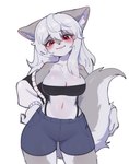 anthro bandeau blush bottomwear breasts cleavage clothed clothing female female_anthro fur grey_body grey_fur hair hand_on_hip head_tilt kemono long_hair looking_at_viewer midriff multicolored_body multicolored_fur navel red_eyes shorts simple_background solo tail tight_clothing topwear tube_top two_tone_body two_tone_fur two_tone_tail white_background white_body white_fur white_hair acorn_furry canid canine canis mammal wolf 2024 digital_media_(artwork) hi_res portrait three-quarter_portrait