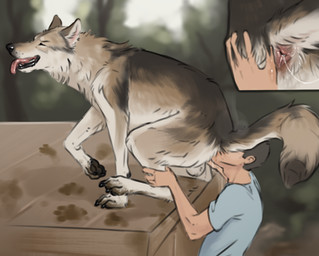 anal anatomically_correct anatomically_correct_anus anus balls bestiality bodily_fluids claws close-up clothed clothing digitigrade duo eyes_closed feral feral_rimmed finger_claws genitals human_on_feral human_rimming_feral human_rimming_male interspecies looking_pleasured male male/male male_feral male_human male_on_feral male_on_human male_rimmed male_rimming male_rimming_male mud open_mouth oral pawpads paws quadruped realistic_feral rimming saliva saliva_string sex smile tail toe_claws tongue tongue_out y_anus sepulte canid canine canis human mammal wolf hi_res